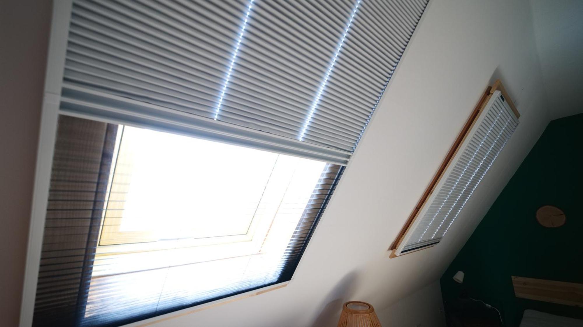 Green Loft Schwarzwald - Dach-Balkon--Musik-Ecke Fluorn-Winzeln Eksteriør bilde